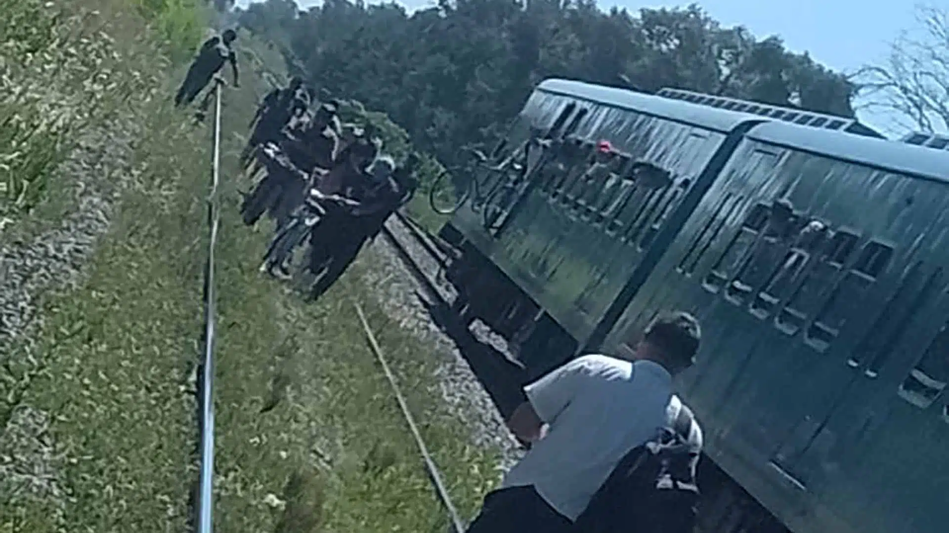Tren San Martín