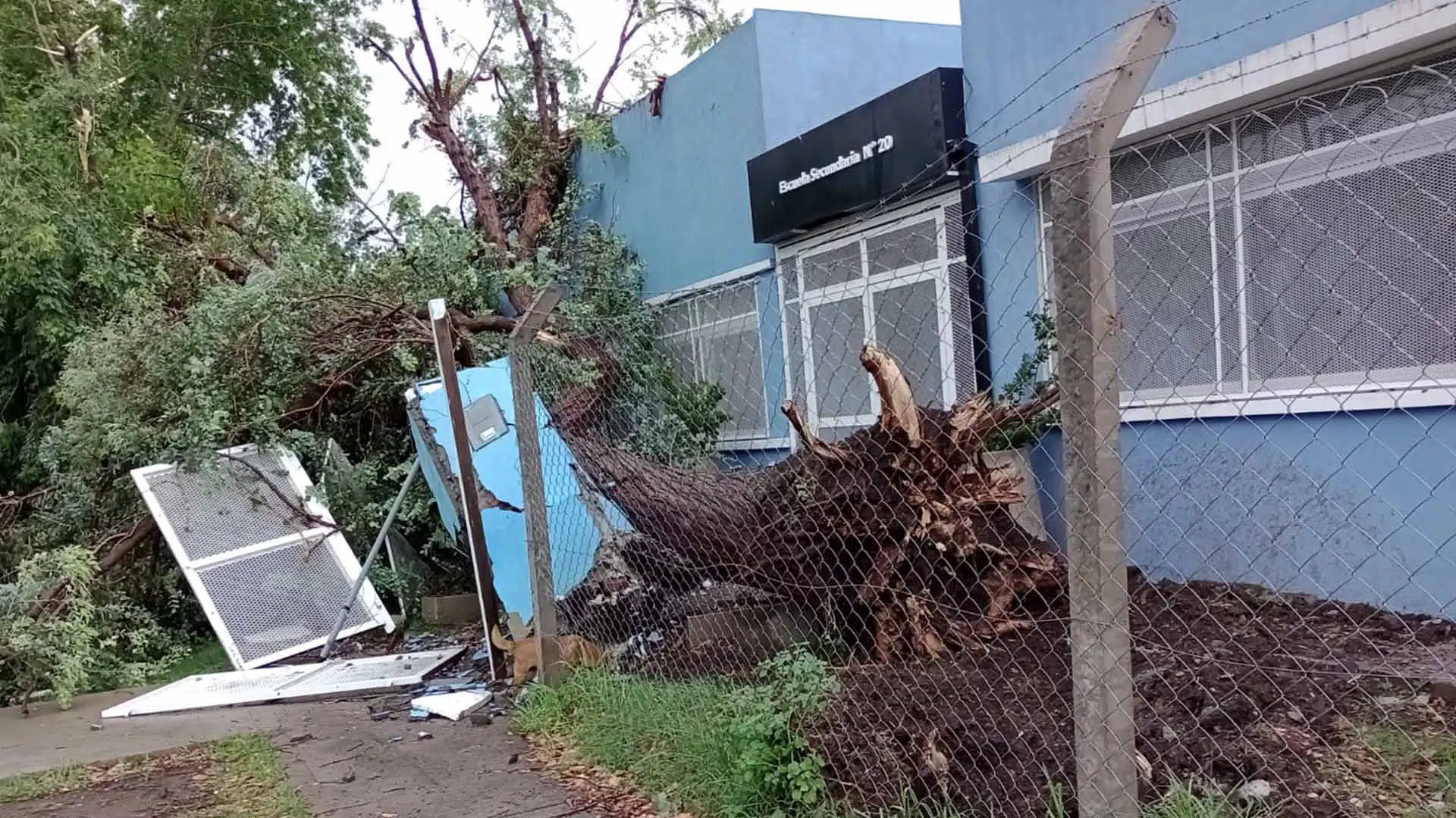 Escuelas temporal