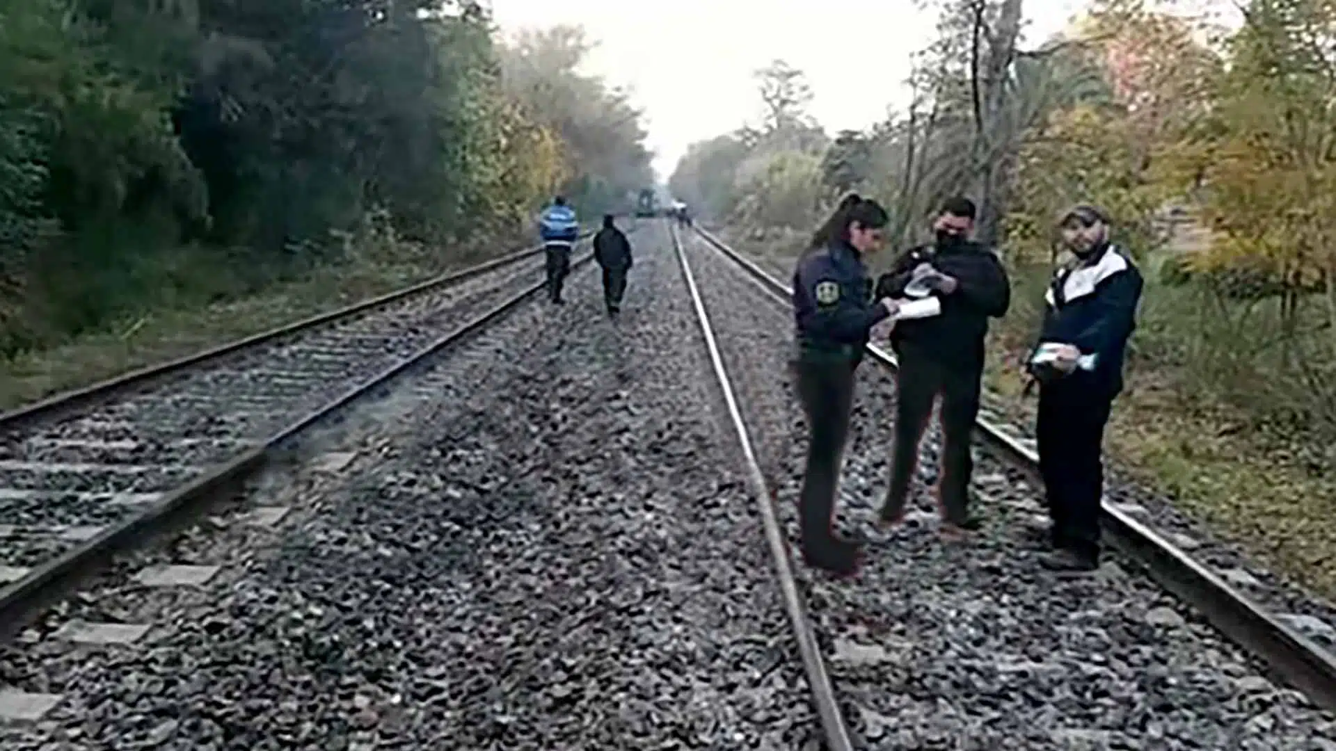 Atropellada tren Maschwitz