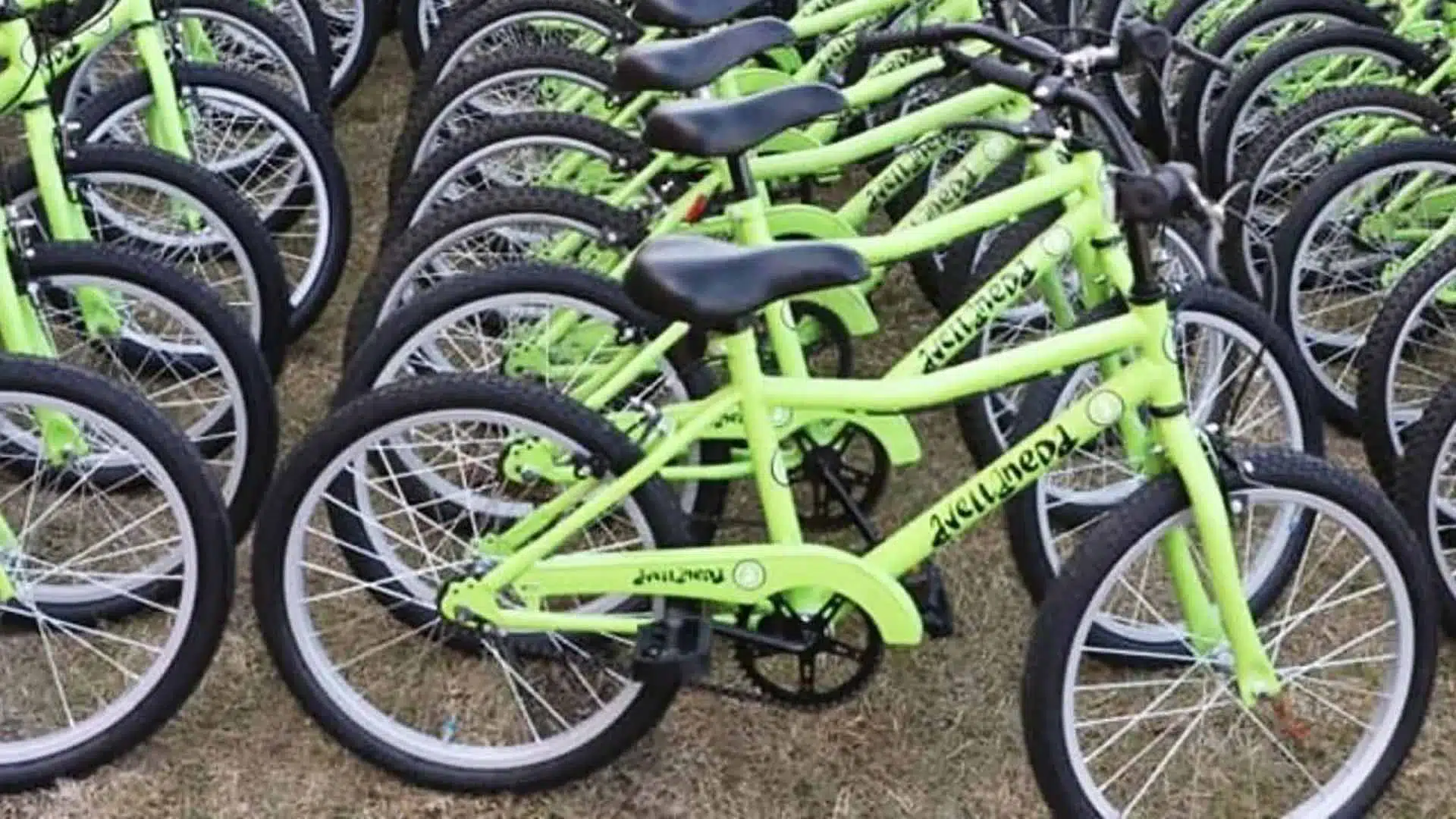 5 mil bicicletas