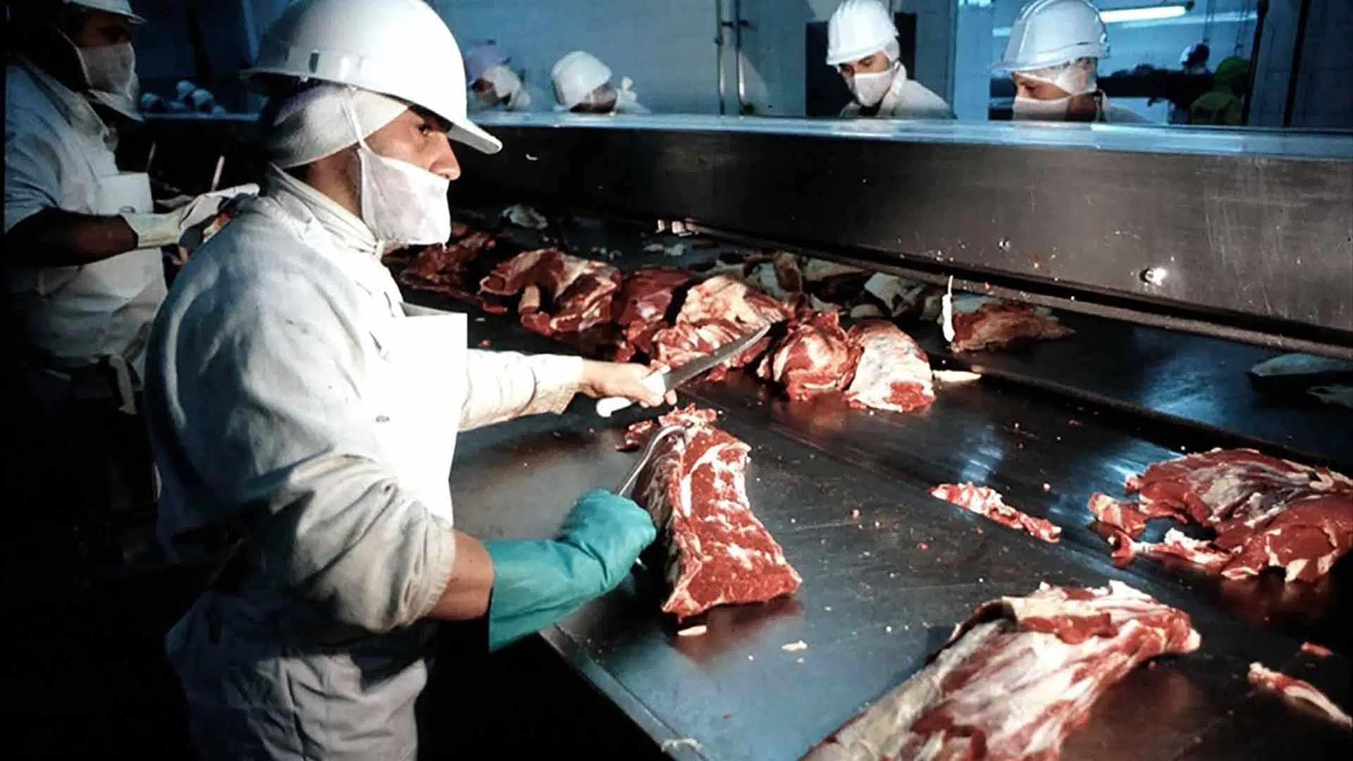 precios carne