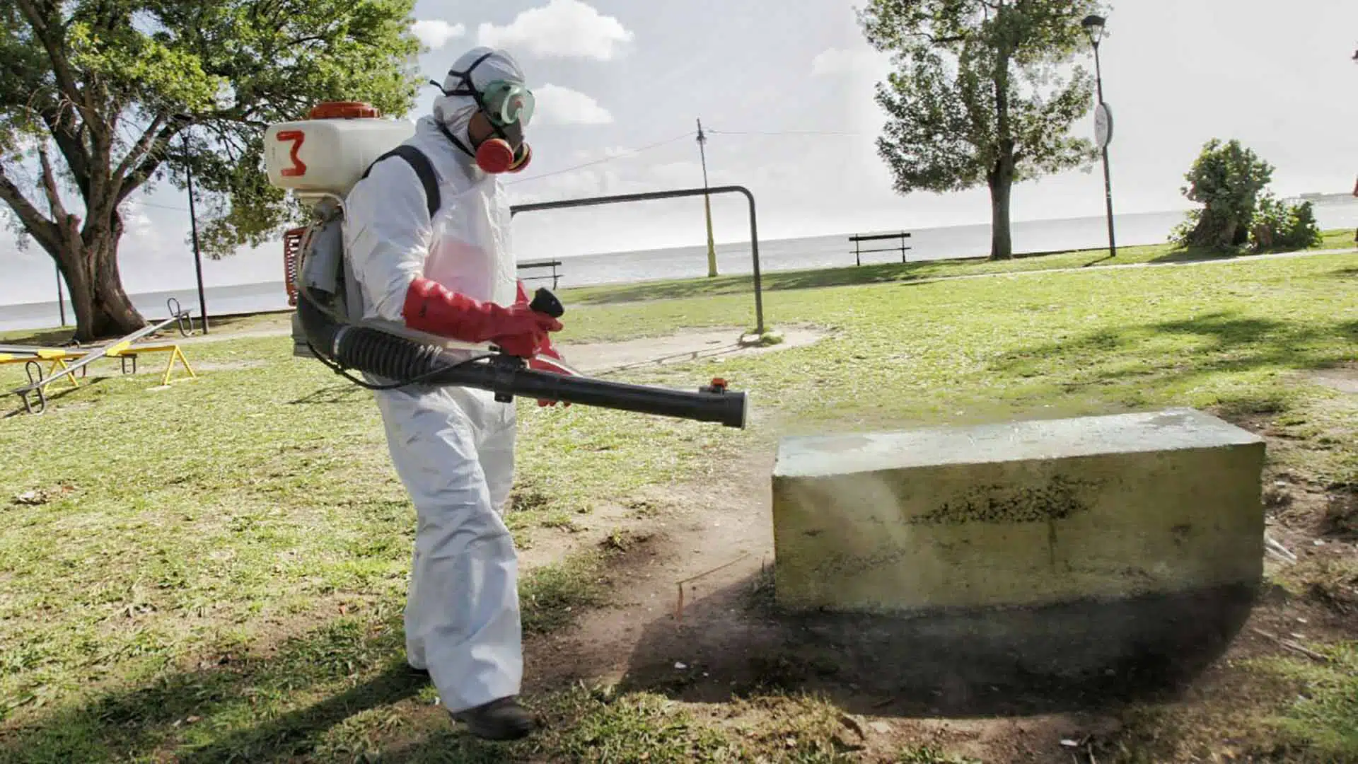 Dengue