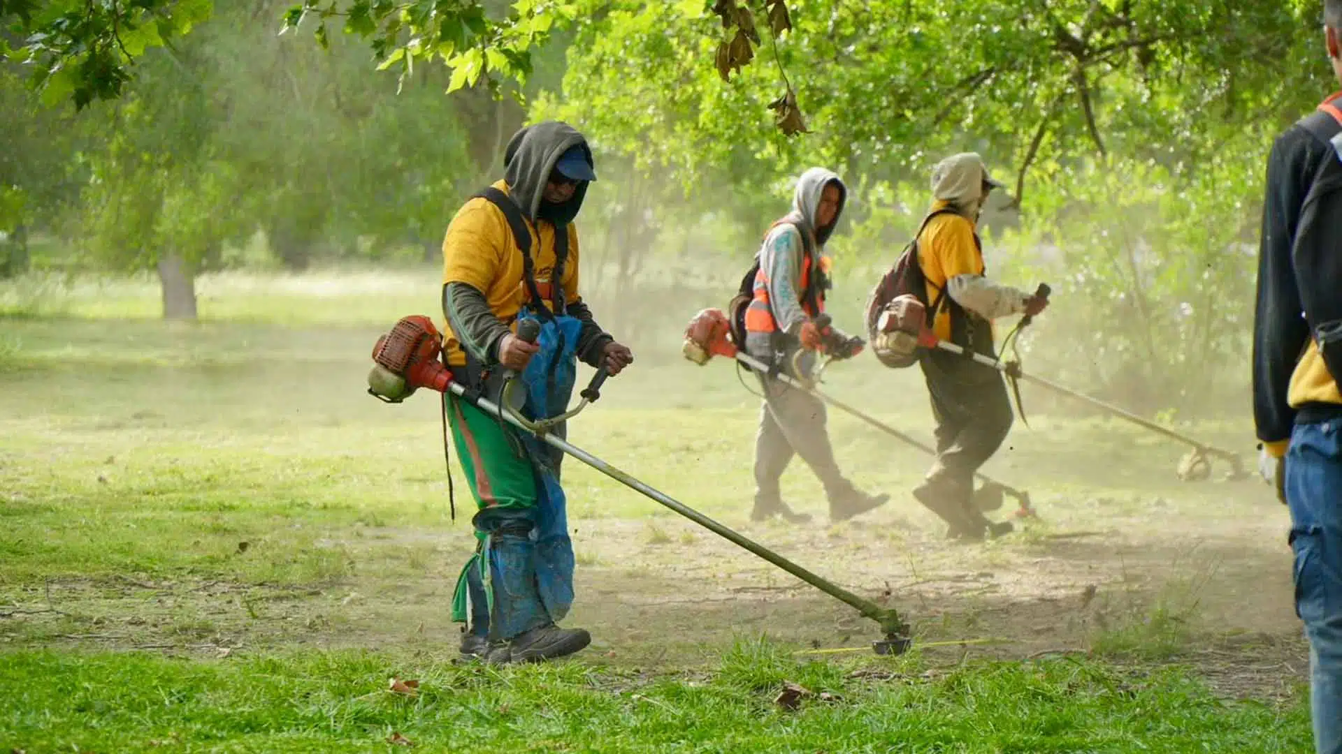 Dengue en la provincia