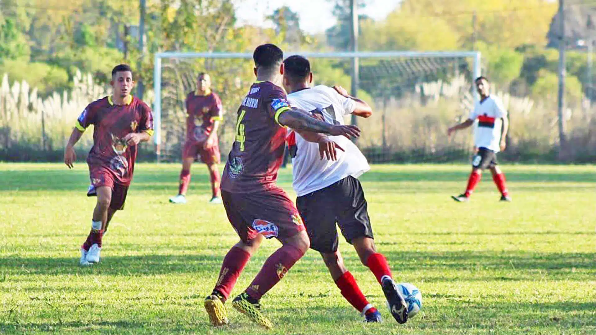 Monterrey Derqui