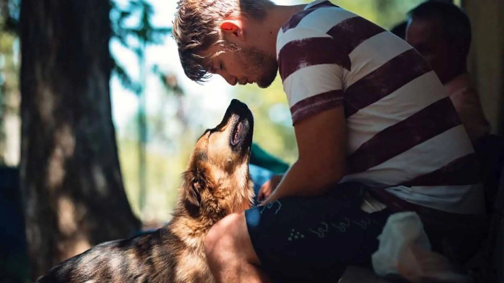 Día del Perro