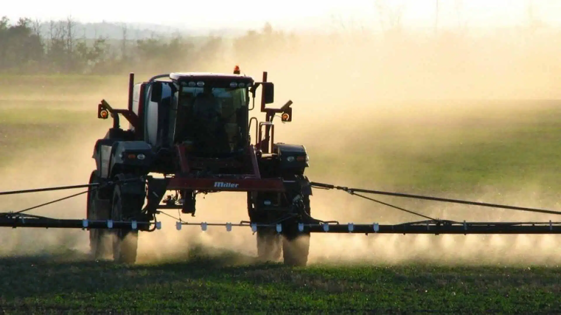 Fumigaciones country Larena