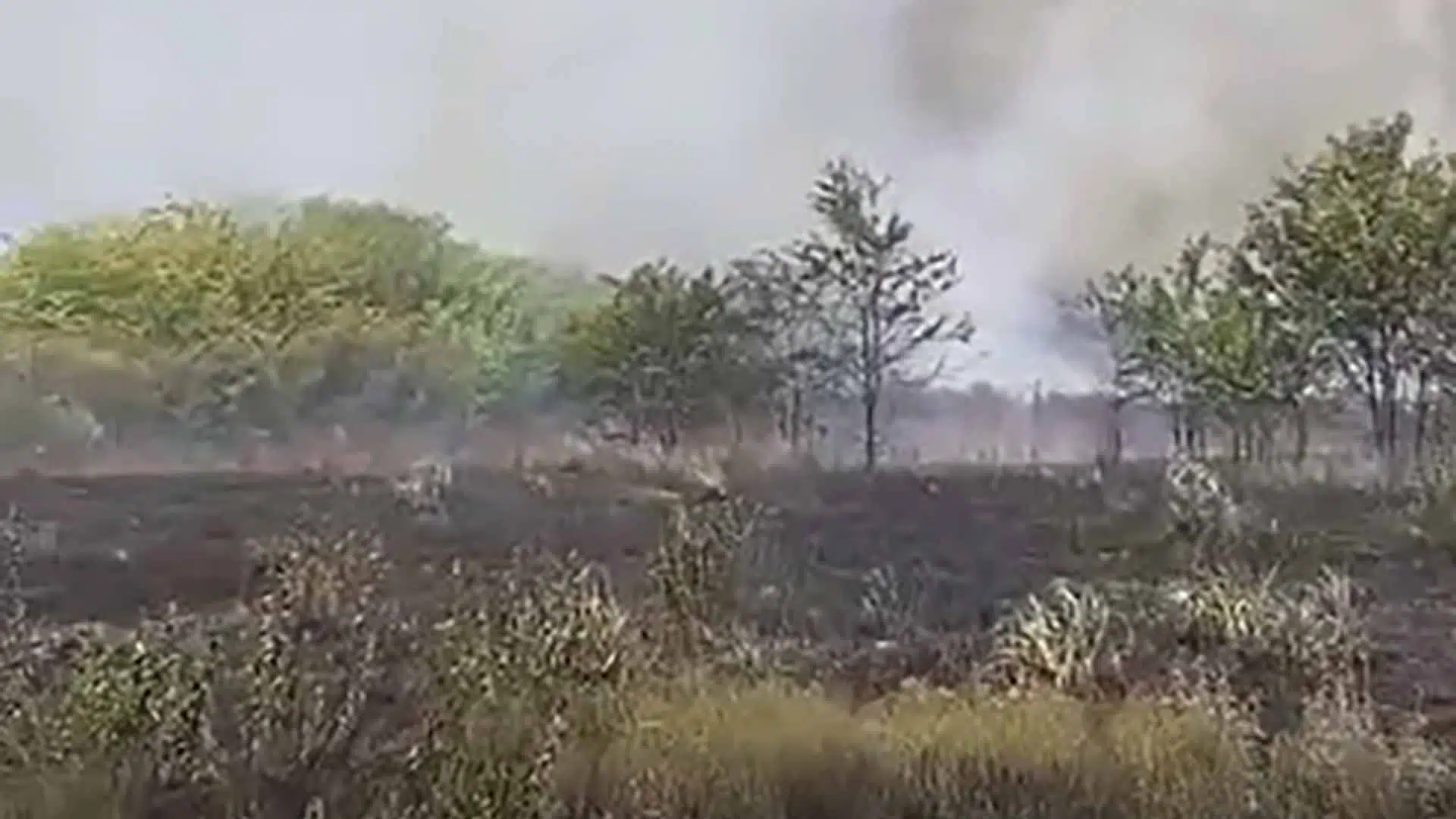 incendio la montonera
