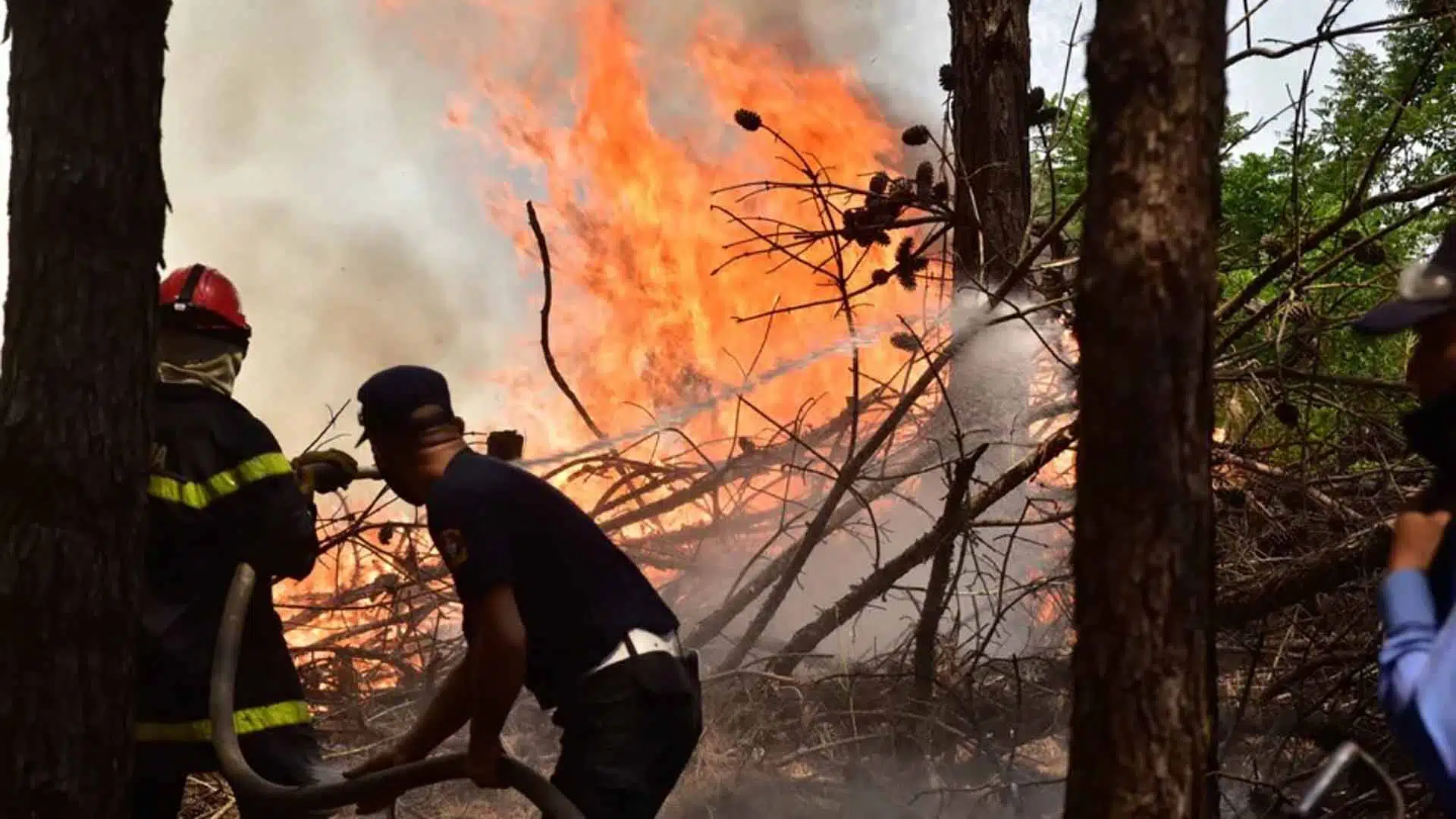 solidaridad incendios corrientes