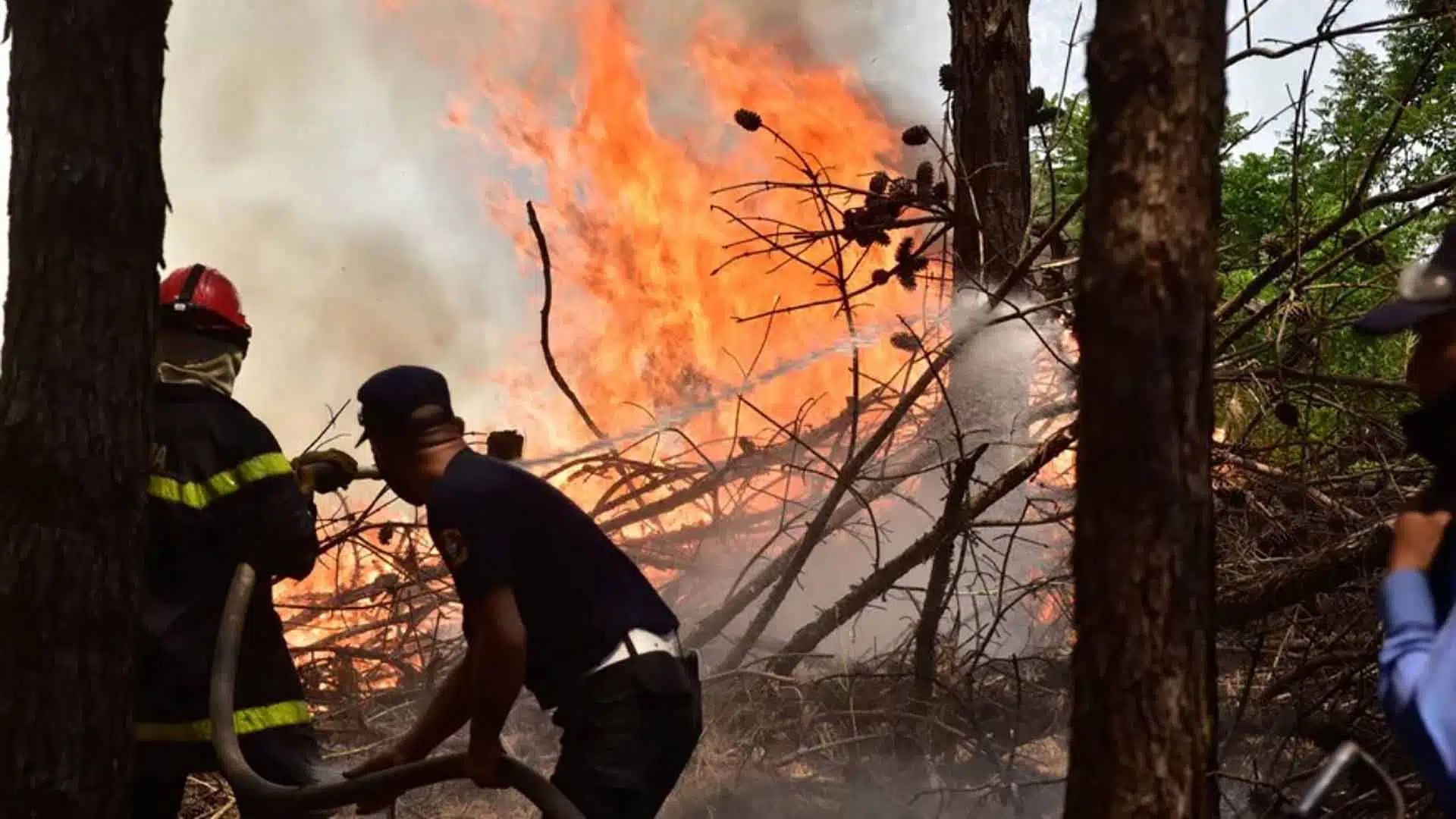 Incendios verano