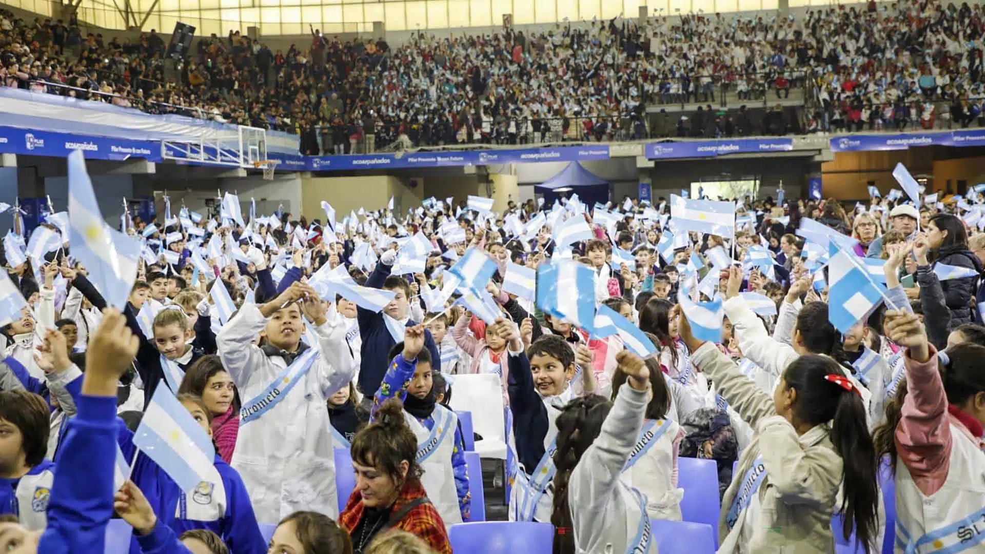 Lealtad a la bandera