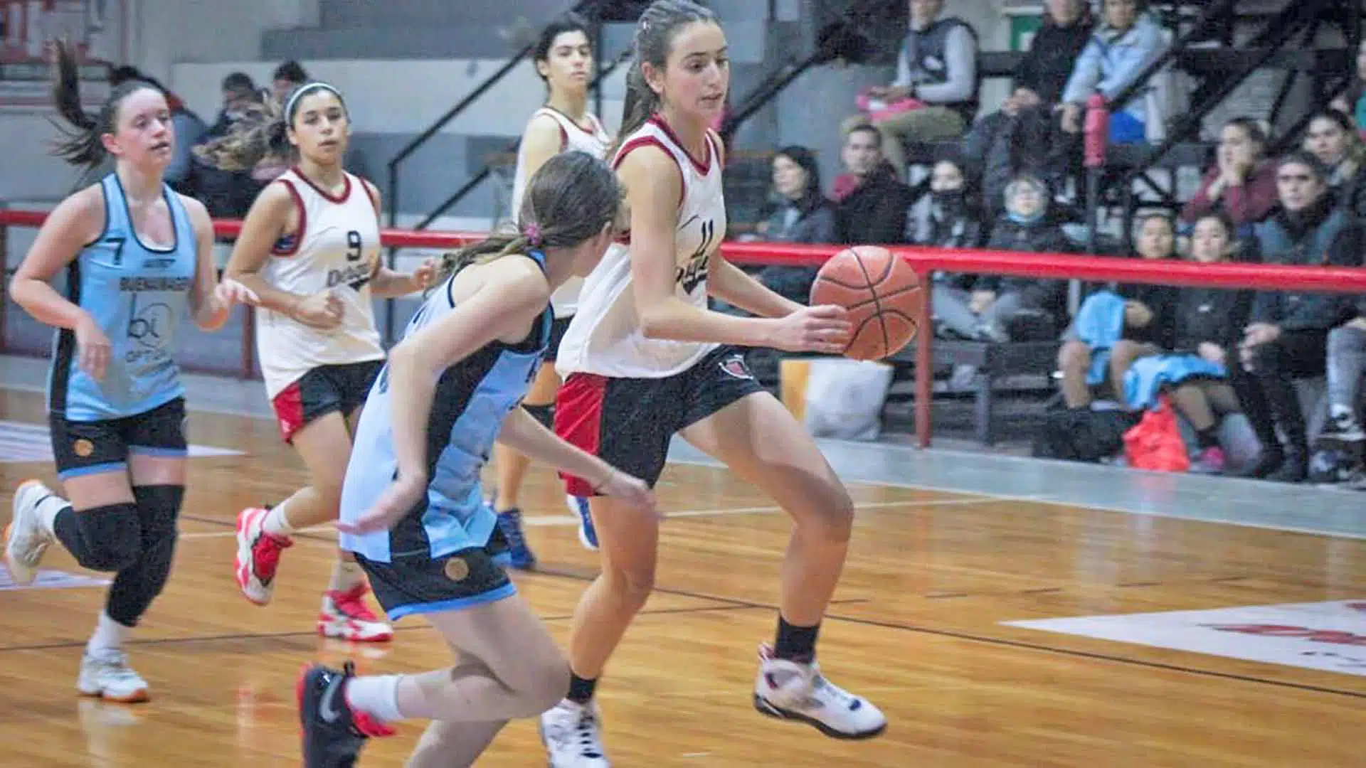Guadalupe Lerche