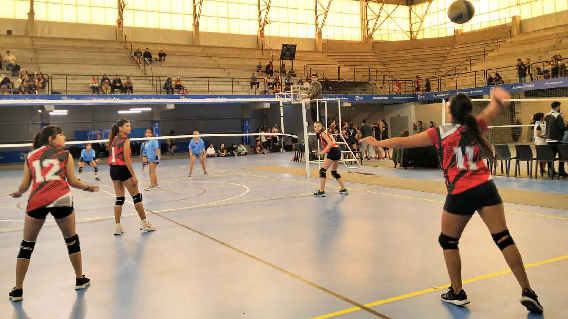Liga Municipal de Voley