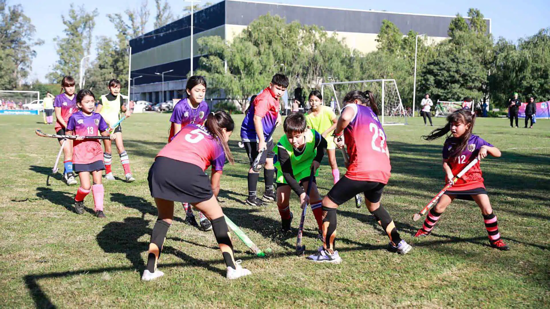 Liga Municipal de Hockey