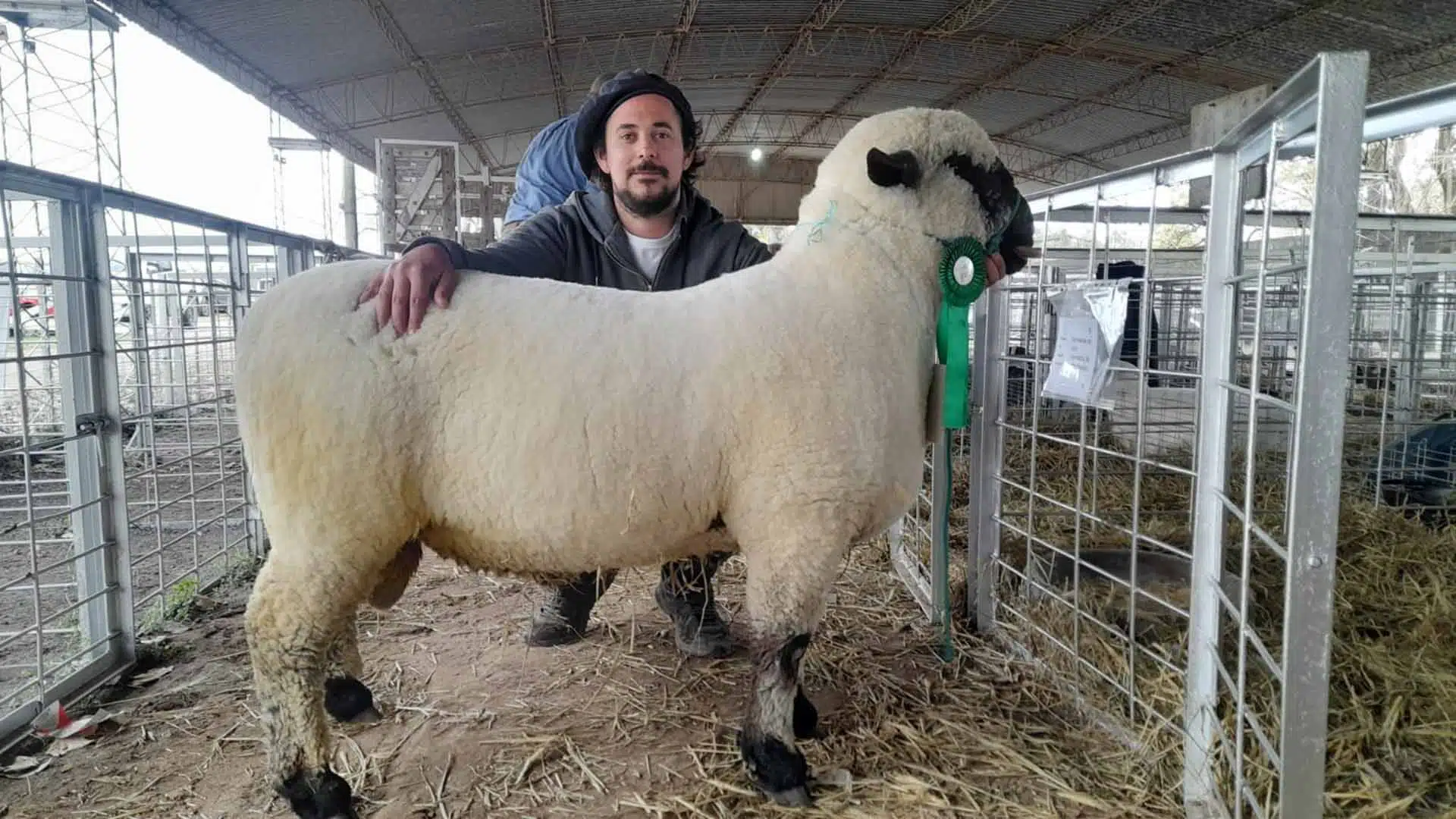 Marco Circosta