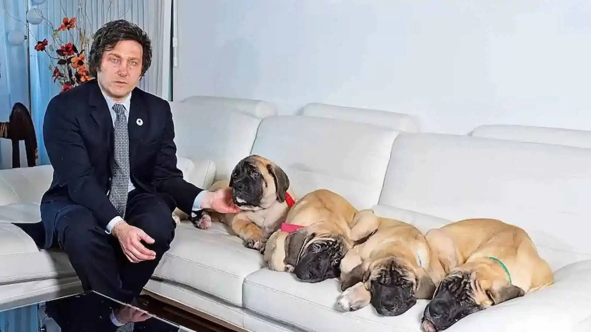 Perros Milei