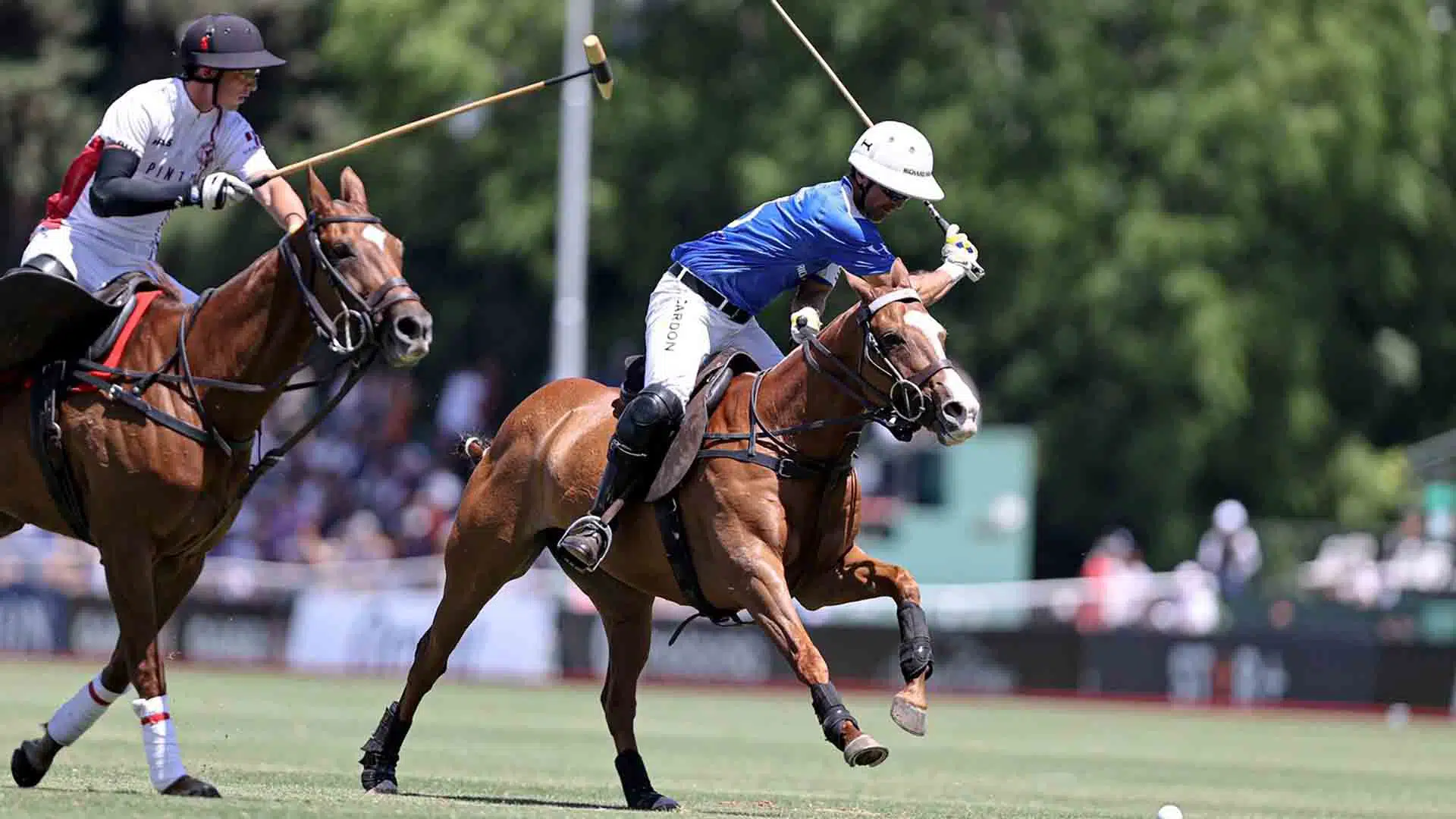 polo palermo