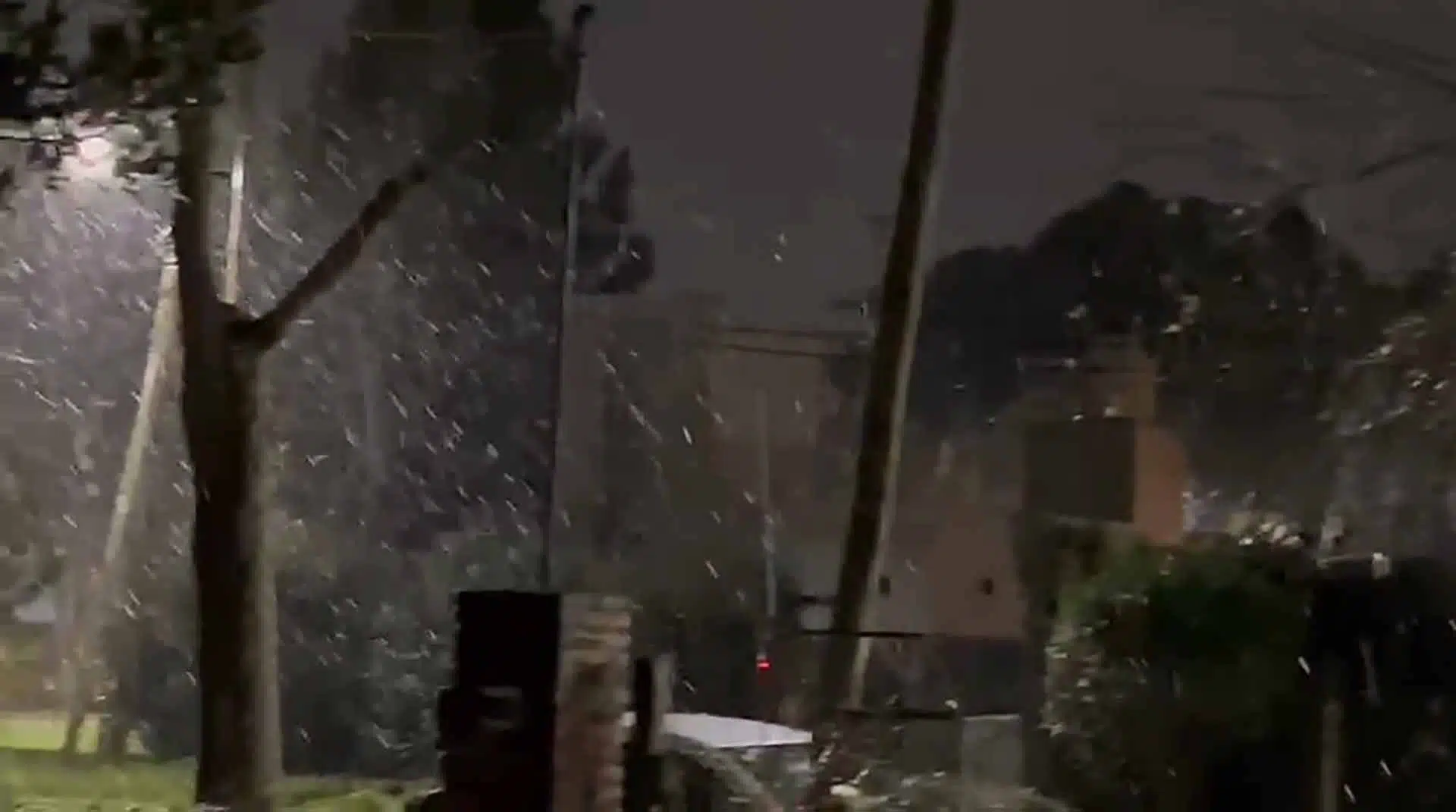 Nieve en Pilar