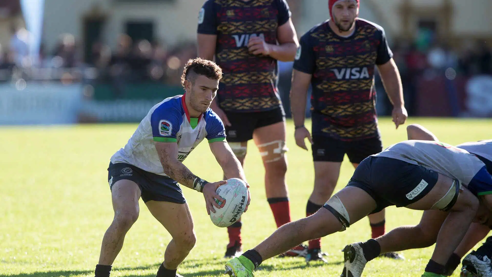 Pampas rugby