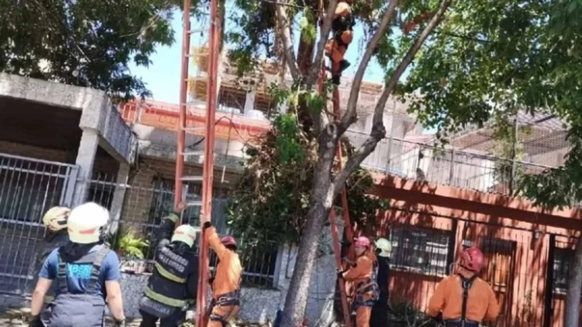 Podador Villa Rosa muerto
