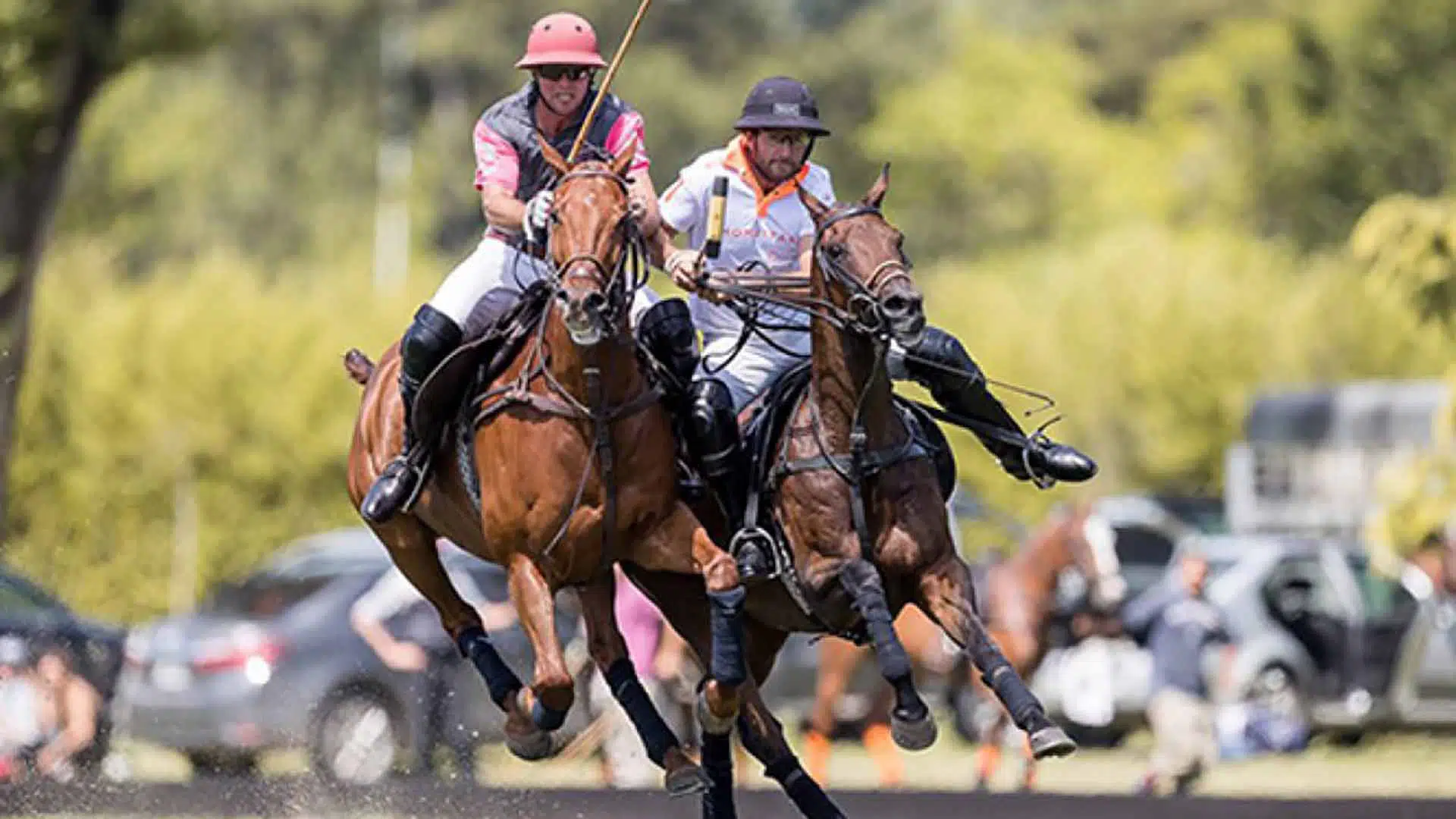 Polo copa Municipalidad