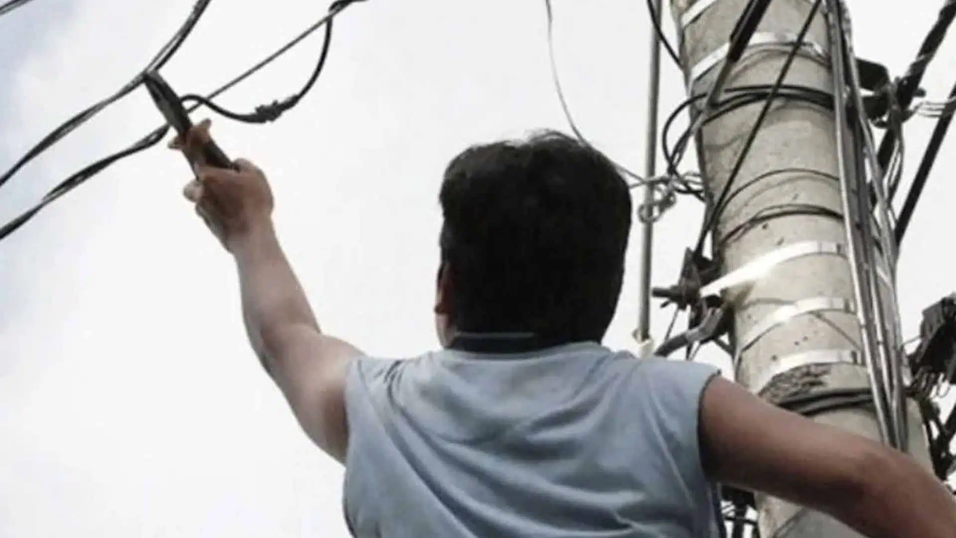 Roba cables Alberti