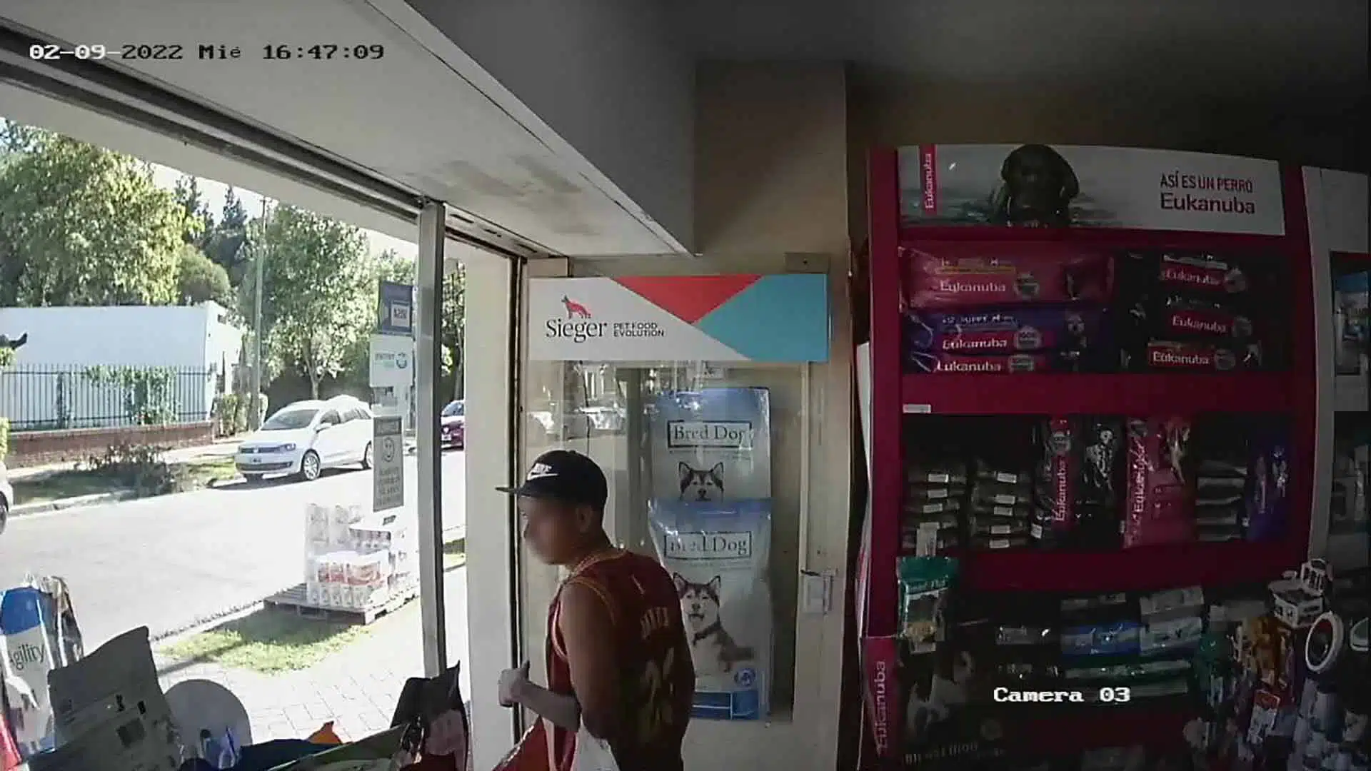 robo pet shop pilar
