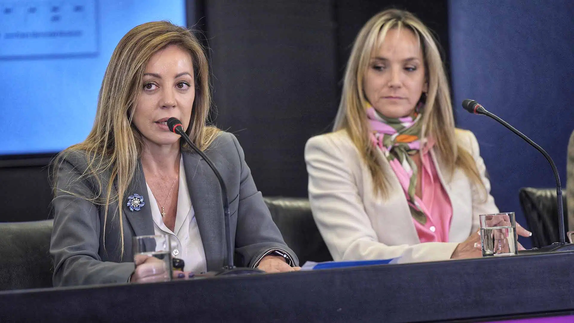 Subsidios servicios