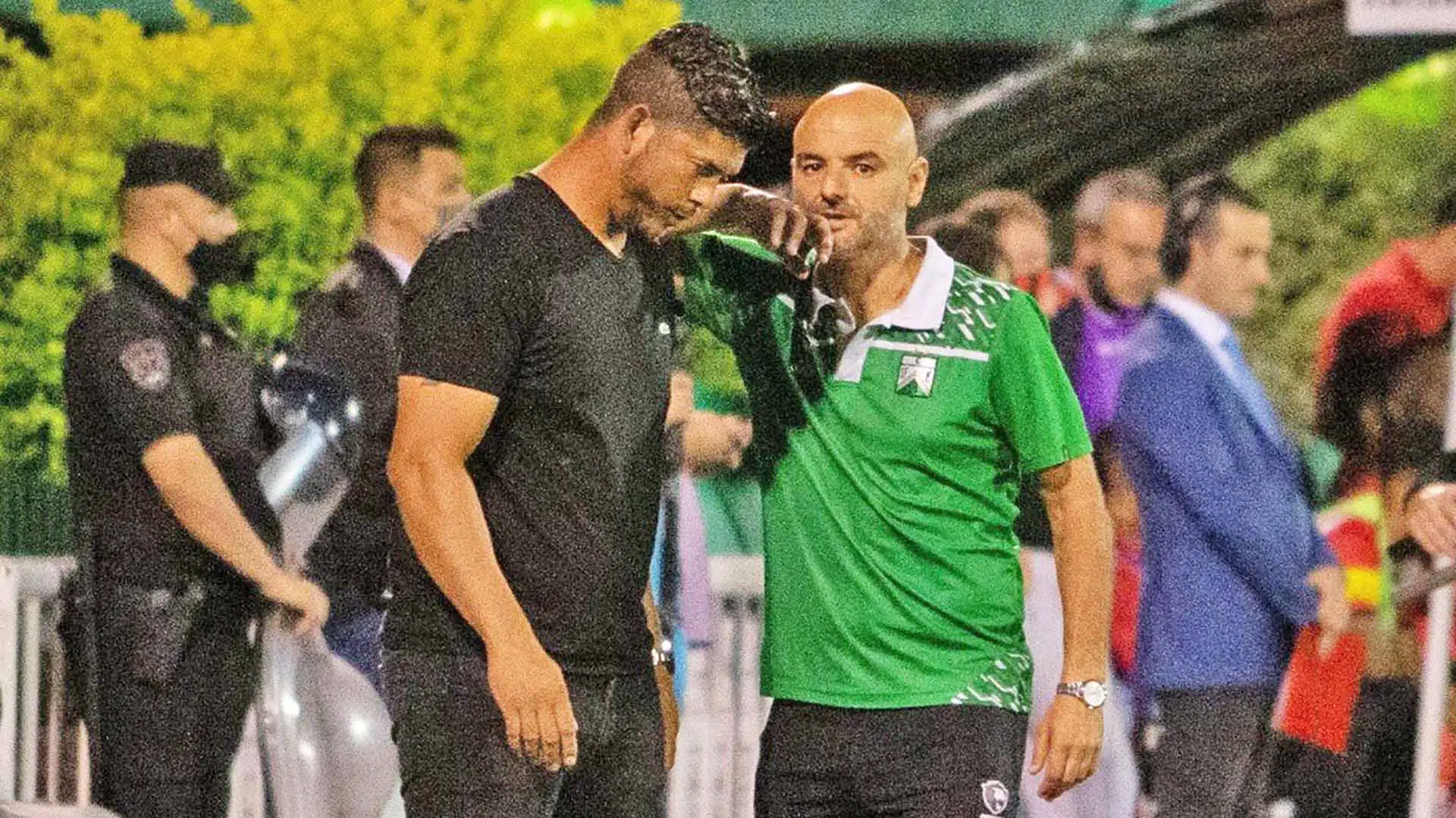 favio orsi