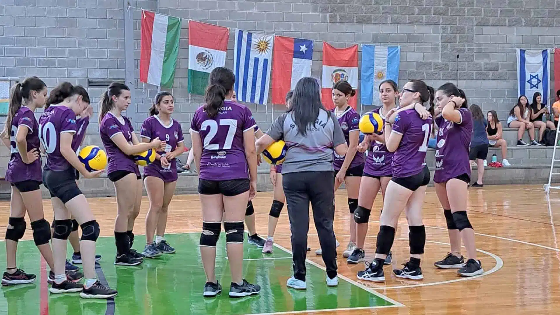 Sinergia voley