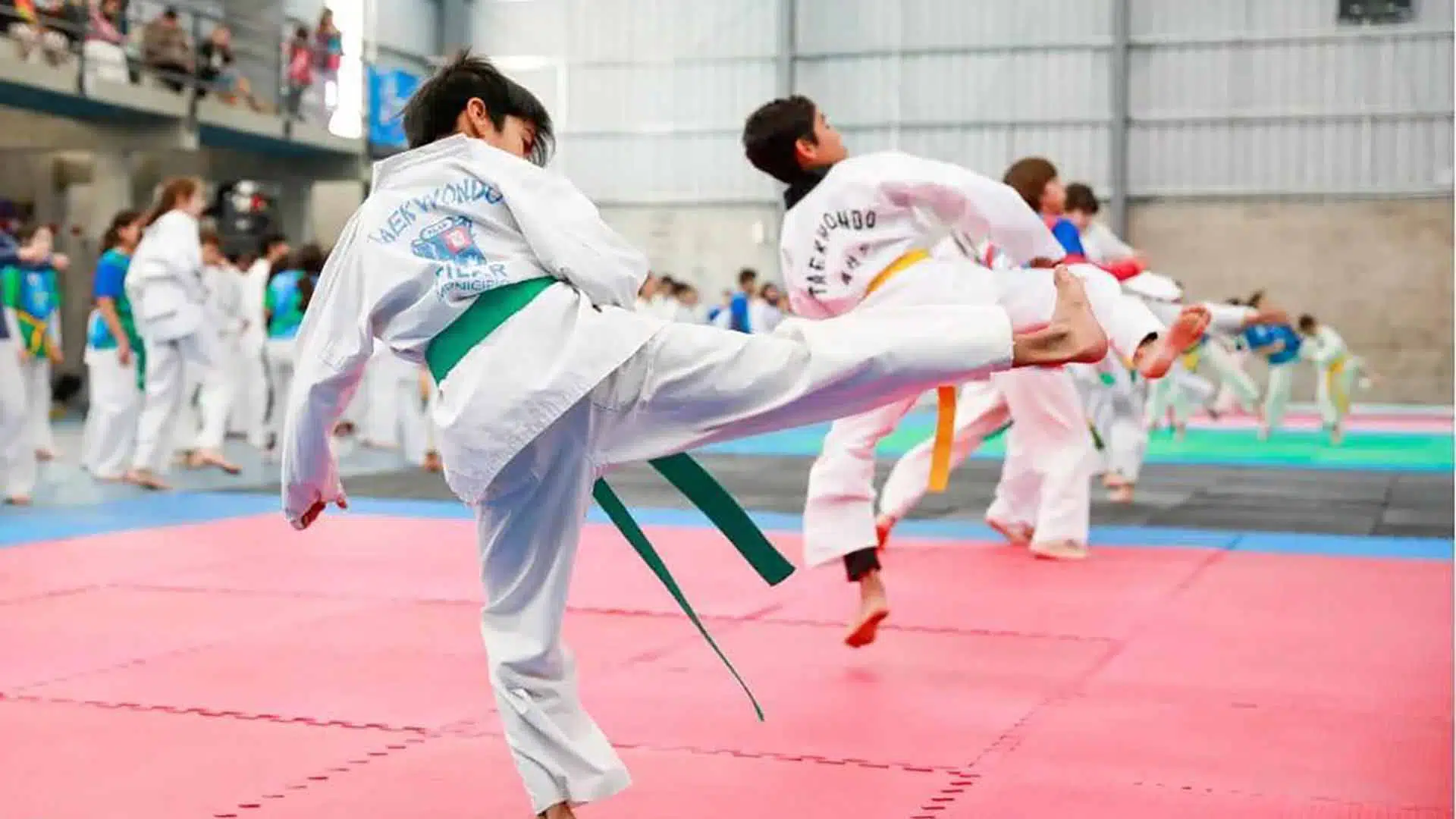 Open Copa Pilar Taekwondo