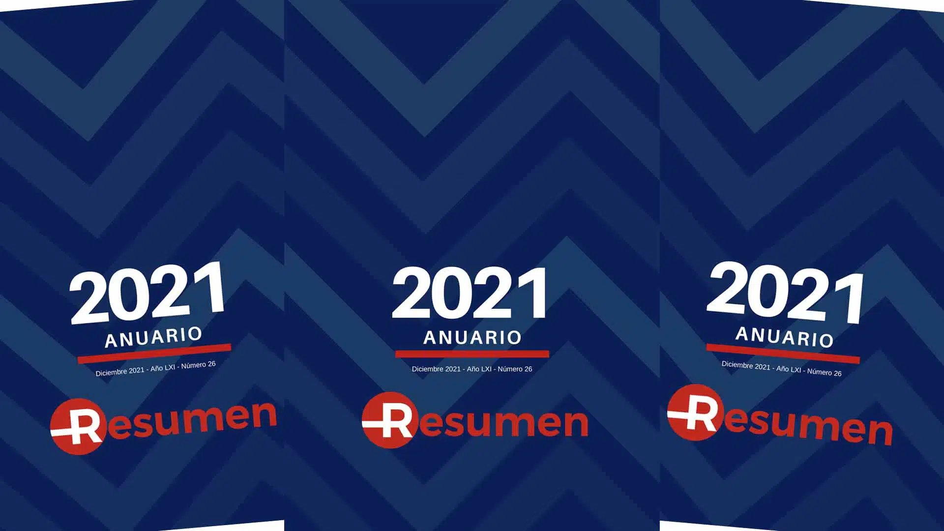 anuario diario resumen