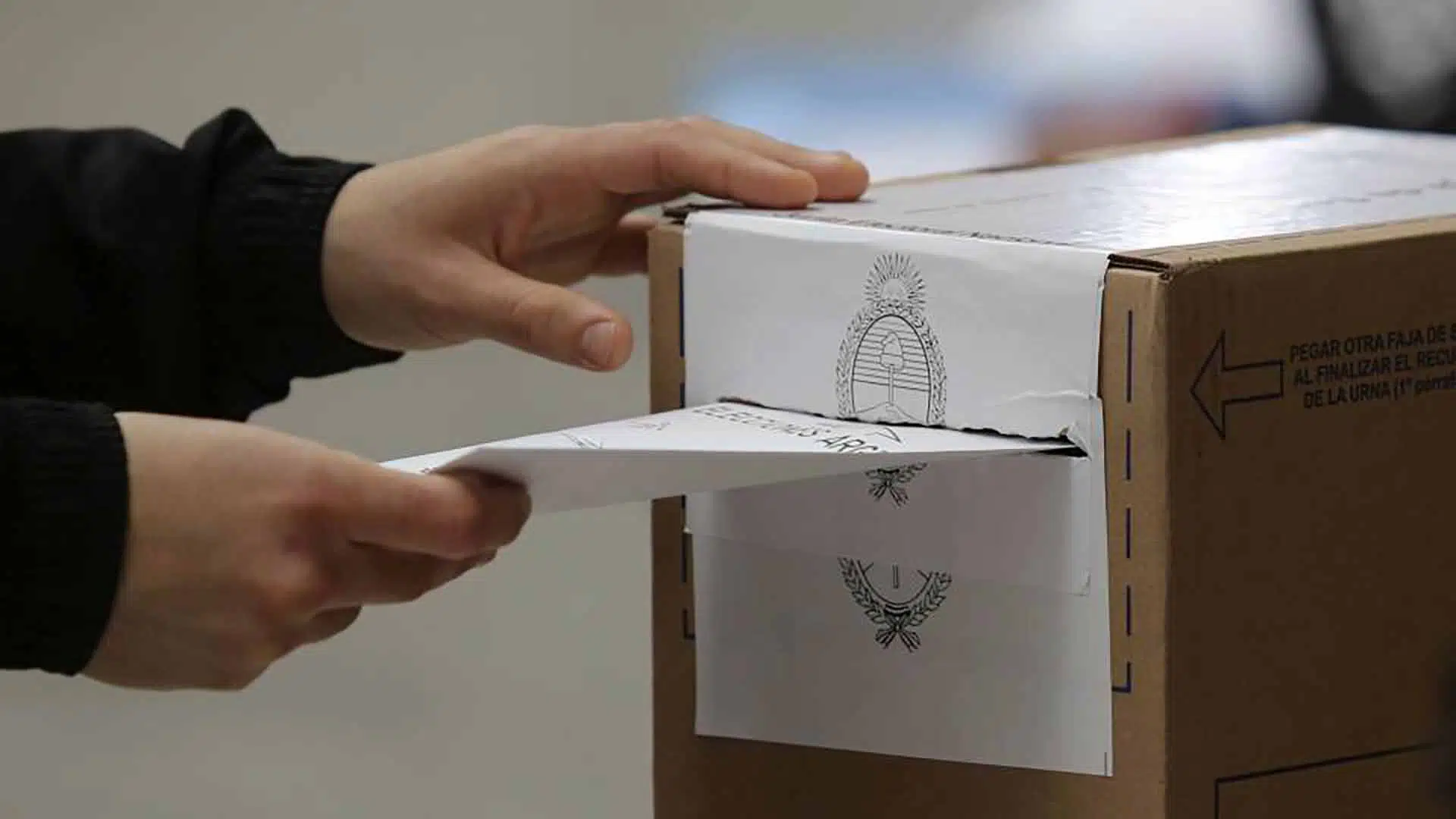 Elecciones Pilar