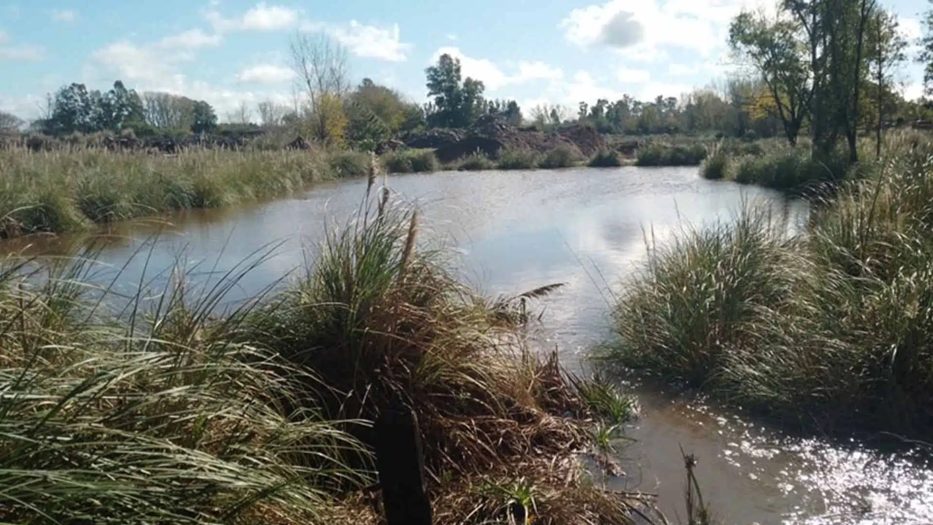 Arroyo Toro