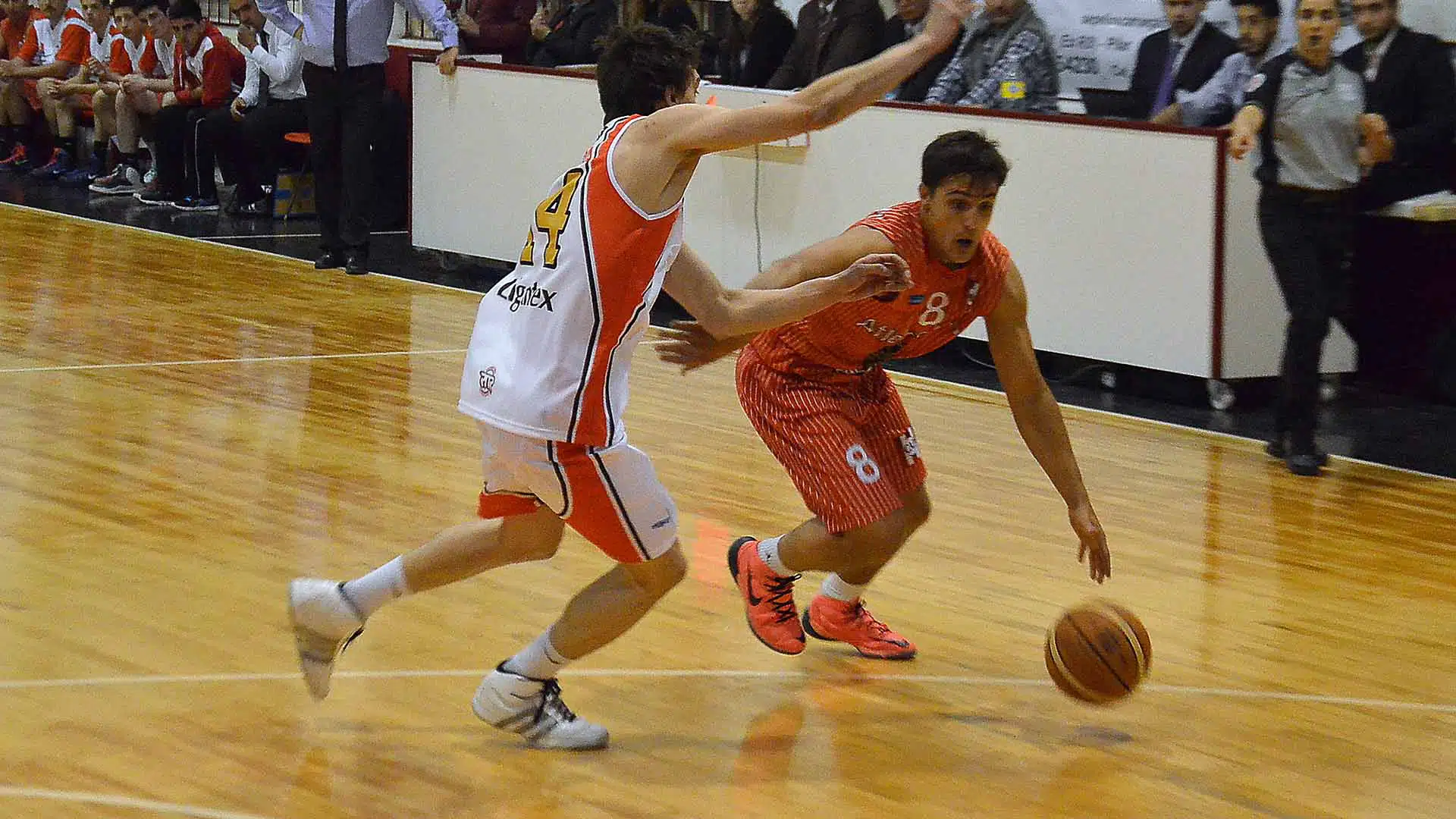 basquet federal