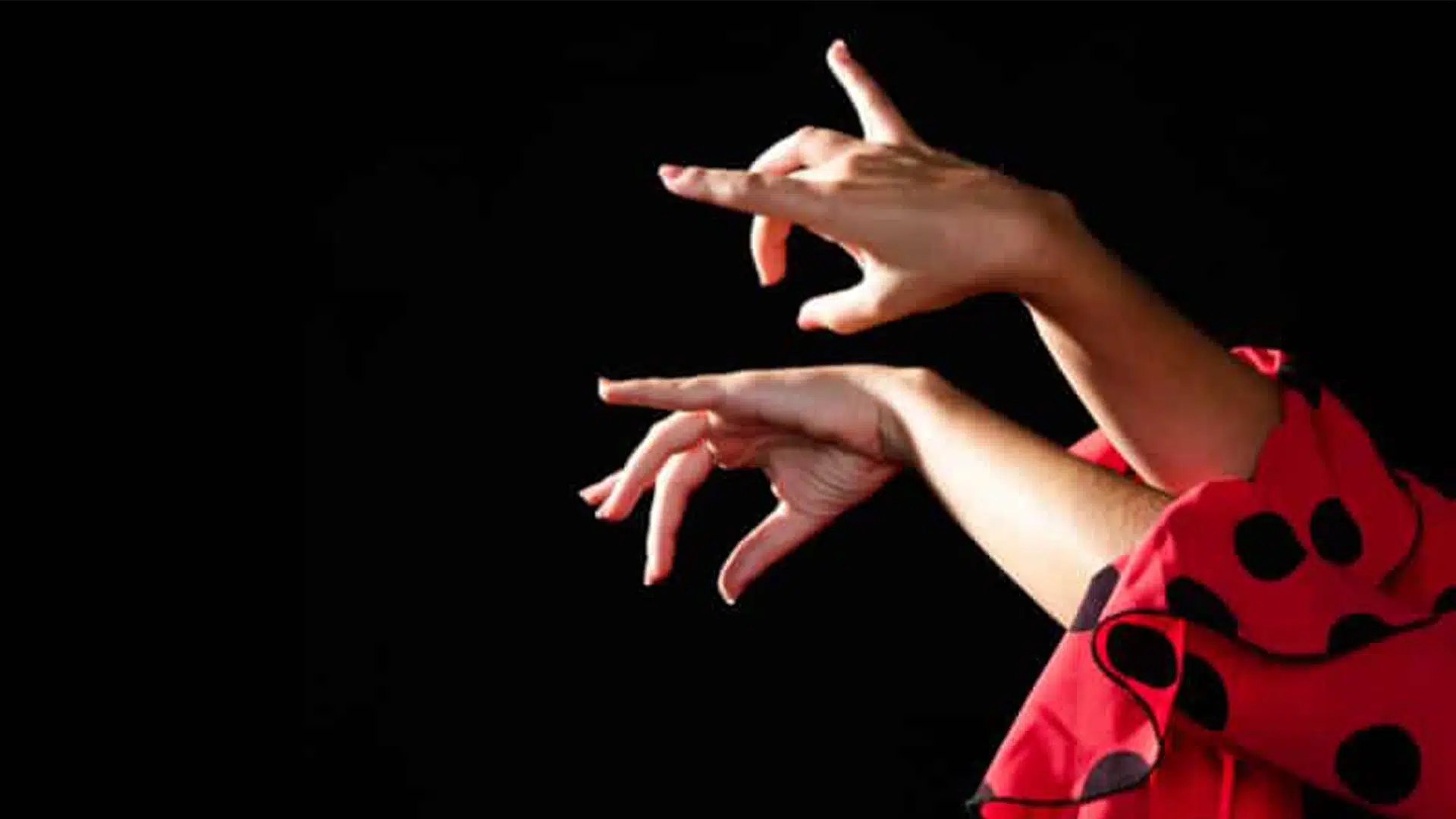 convocatoria flamenco seminario