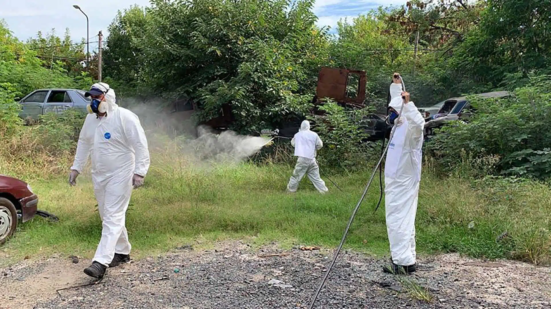 Mosquitos resistentes insecticidas